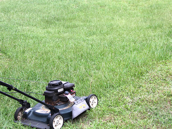The Most Common Lawn Mowing Mistakes: Are You Guilty?