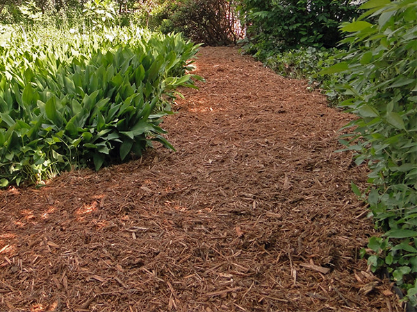 Mulching: Best Practices