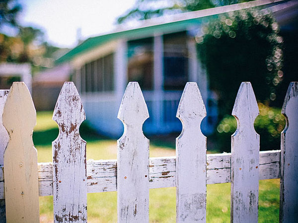 What to Do If Your Tree is Extending Into a Neighbor’s Property