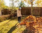 16 Secrets to Conquering Leaf Cleanup