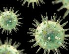 These Infections Are Linked to 12% of New Cancer Cases