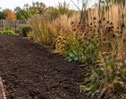 A Pollinator Friendly Fall Cleanup That Prevents Next Year’s Pests