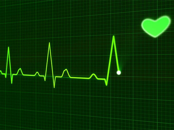 Is There Really a Best Heart Rate for Burning Fat?