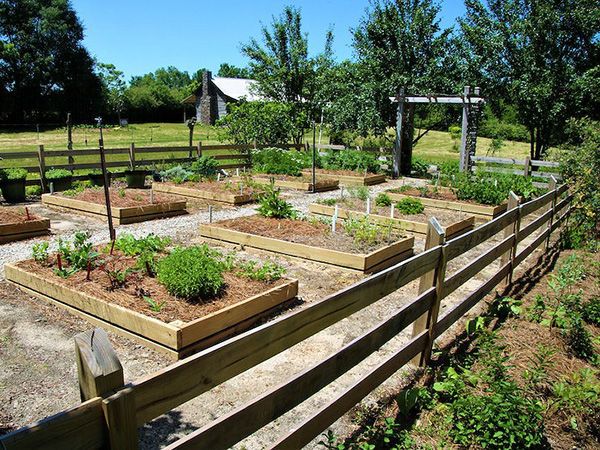 How to Build a Wood Pallet Garden: A Space-Saving DIY Guide
