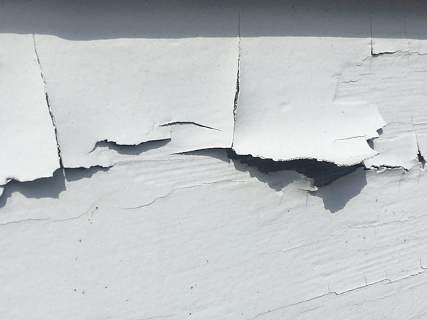 Why Wall Paint Peels and How to Prevent It