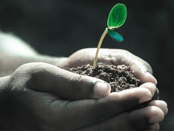 Why Continuous Learning Is Essential for Personal Growth