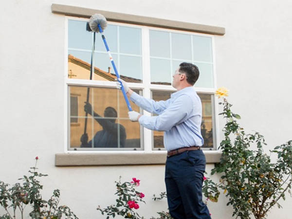 The Evolution of Pest Control: From Ancient Remedies to Smart, Sustainable Solutions