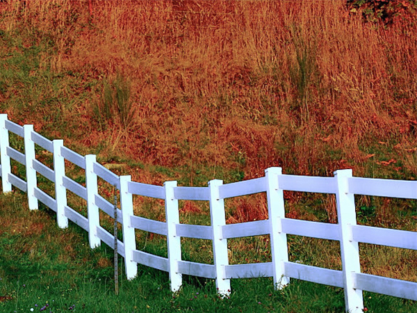 How to Find and Verify Your Property Lines as a Homeowner