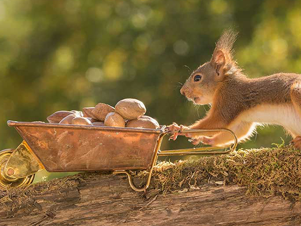 Decoding Your Financial Future: Is Your Retirement Plan On Track?