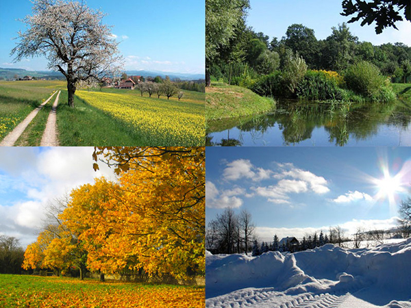 How Weather Patterns Influence Pest Control Strategies