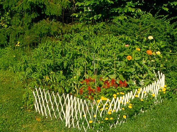 Creative Planting Ideas to Make the Most of a Small Garden