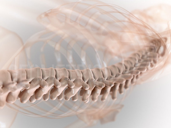 Understanding Chiropractic Subluxations: What They Mean and How They Are Treated