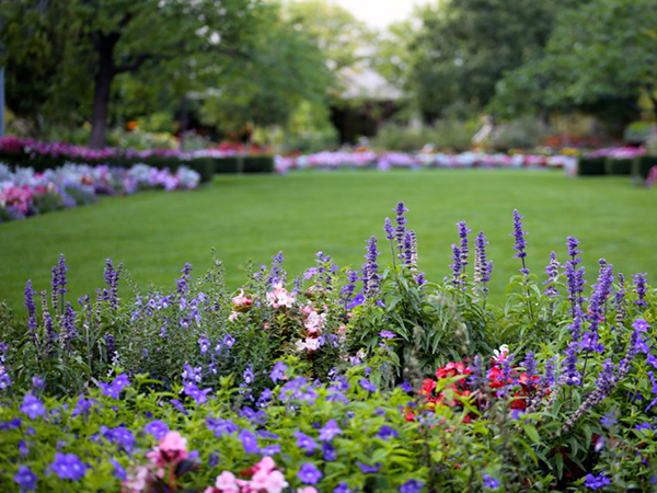 Time-Saving Landscaping Tips for a Beautiful, Low-Maintenance Yard