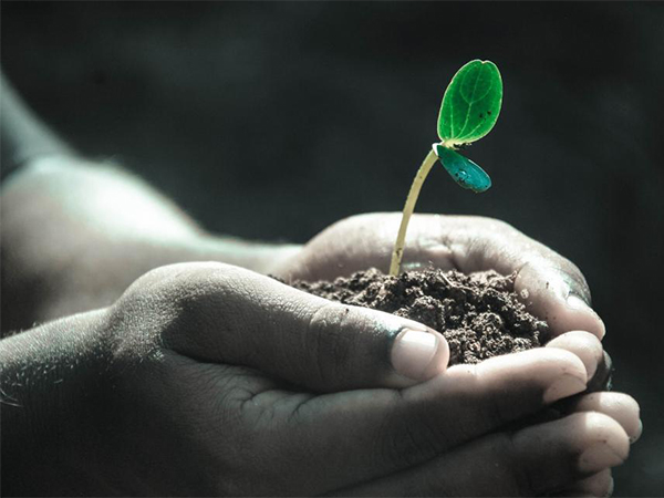 Strategic Planning: Building a Roadmap for Your Business’s Future