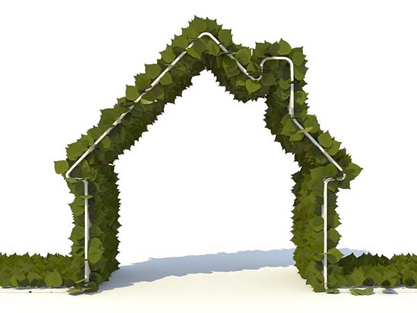 Simple and Sustainable: Eco-Friendly Tips to Make Your Home Greener in 2025