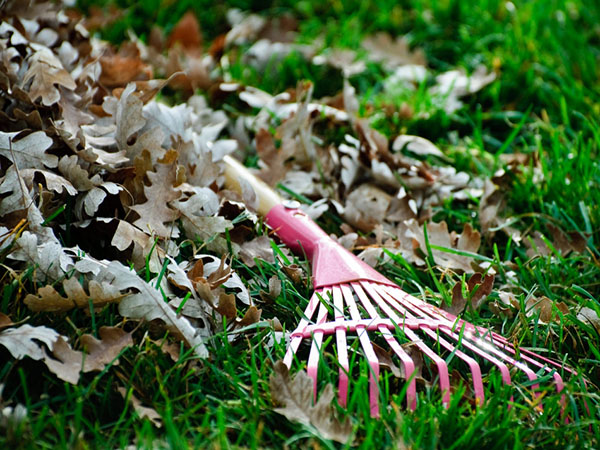 Sustainable Lawn Design: Creating a Beautiful and Eco-Friendly Outdoor Space