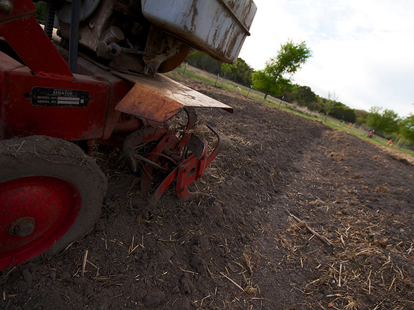 How to Till a Garden: A Step-by-Step Guide for Healthy, Productive Soil