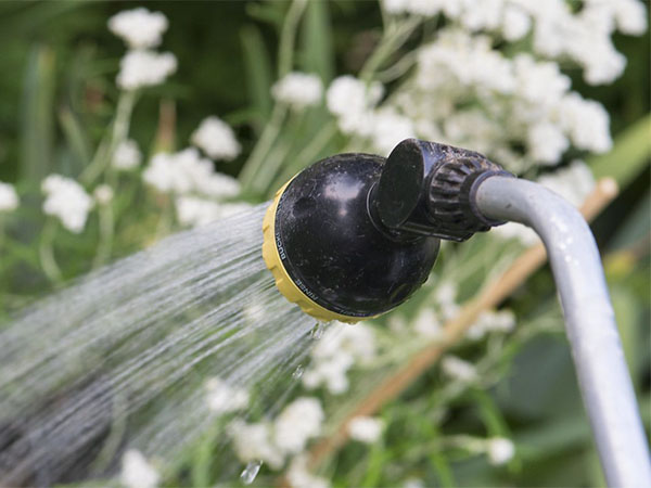 Bad Gardening Habits to Drop for a Healthier, Thriving Garden