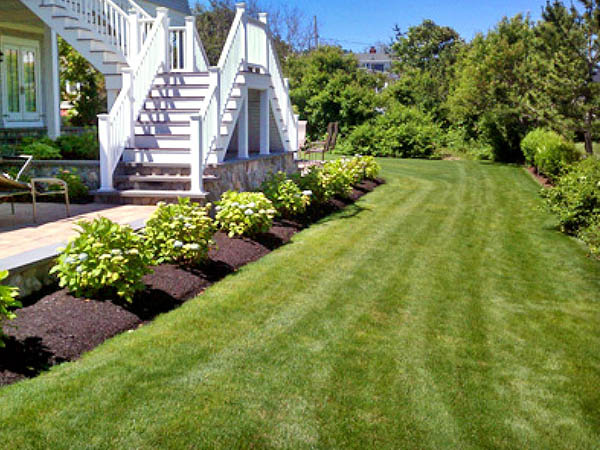 How to Maintain a Lush, Weed-Free Lawn