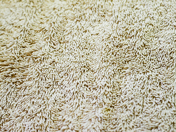 How to Dry Wet Carpet: Essential Tips to Prevent Damage and Mold Growth