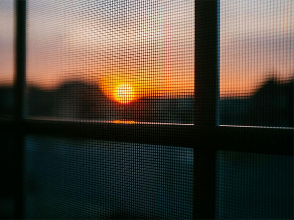 The Easiest Way to Clean Window Screens for Clearer Views and Healthier Air