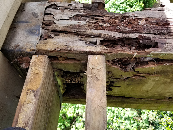 Protecting Your Home From Wood Decay: Prevention, Early Detection, and Smart Solutions
