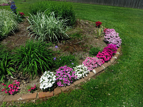 Creative Landscape Border Ideas to Elevate Your Garden Design