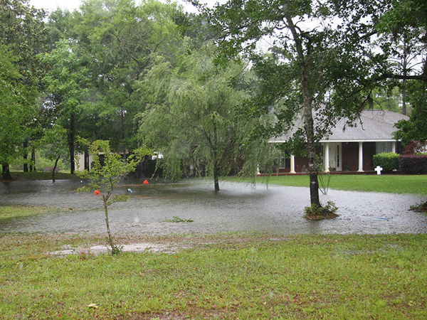 Signs that You Need to Address Your Yard Drainage
