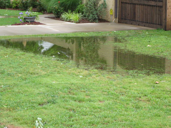 7 Tips for Better Yard Drainage