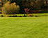 The One Thing We Get Wrong About Fertilizing Lawns In Fall