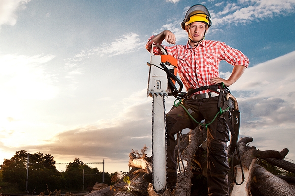Tree Surgeons & Arborists