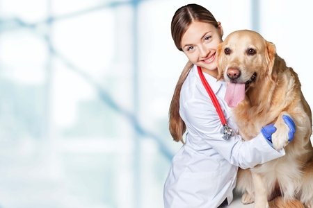 Veterinarians