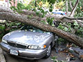 What to Do If Your Car is Damaged by a Weather Event