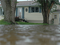 Defending Your Yard: Effective Strategies to Prevent Rainwater Flooding