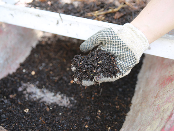 Social Media for The Green Thumb's Guide to In-Garden Composting: Techniques and Tips