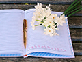 Cultivating Green Memories: The How and Why of Keeping a Gardening Journal