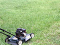 The Most Common Lawn Mowing Mistakes: Are You Guilty?