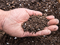 5 Compelling Reasons to Do a Soil Test