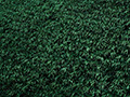 Choosing Between Natural and Synthetic Carpeting