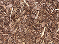 Types of Mulch and Their Benefits: A Complete Guide for Healthier Gardens
