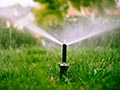 Smart Lawn Watering Techniques for a Healthier, Greener Yard