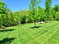 How to Improve Yard Drainage: A Practical Guide for a Healthier, Better-Looking Landscape