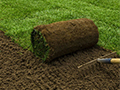 Sod vs. Seed: Choosing the Right Path for Your Lawn